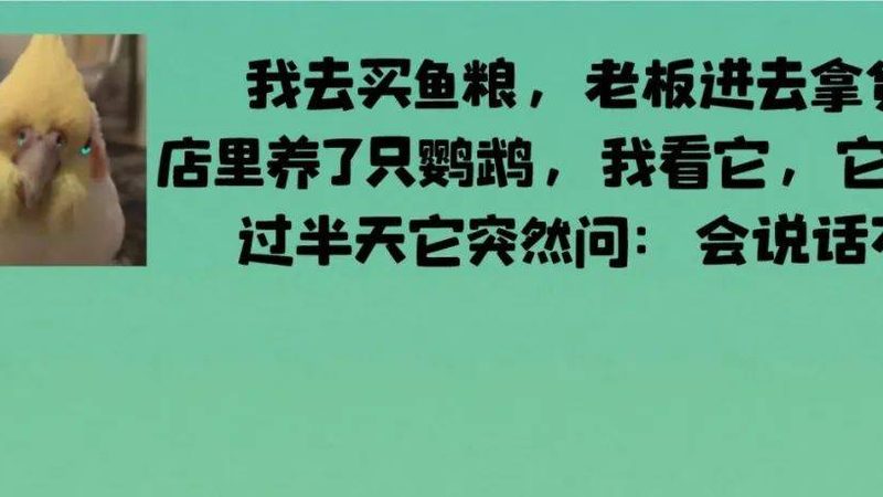 调味品出口过程中，售后服务至关重要。以下是一些关键点：