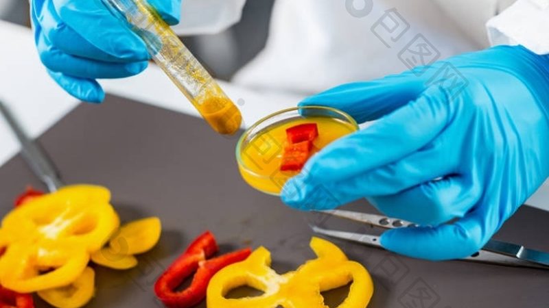 硬糖自动包装机：参数解析与选购要点